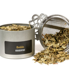 Boldo