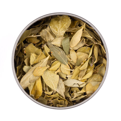 Van Bruggen Thee Buchu thee