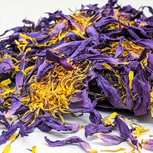 Van Bruggen Thee Blauwe lotus thee