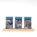 Van Bruggen Theeplank Theeplank Patagonia - blauw