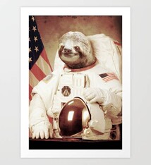 Sloth Astronaut