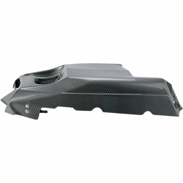 Maier Plastics Replacement Plastic Taillight Cover Yamaha YFM 700 R Bj. 06-13 Black