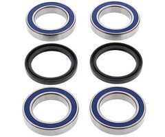 All Balls Racing Radlager-Kit hinten für Dinli DL450