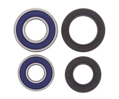 All Balls Racing Radlager - Kit vorne für Dinli DL450