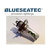 Blueseatec LED Lampe 60W Cree H4