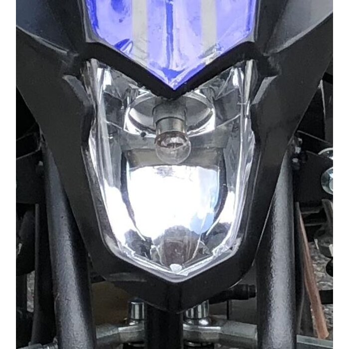 Actionbikes Kinder Elektro Miniquad Fox XTR Scheinwerfer