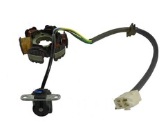 Actionbikes Mini Quad 110cc / 125cc Lichtmaschine (6 Wicklungen/Motor mit Rückwärtsgang anschluß rechteckiger