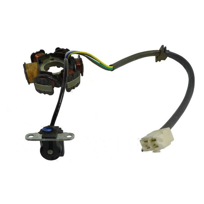 Actionbikes Mini Quad 110cc / 125cc Lichtmaschine (6 Wicklungen/Motor mit Rückwärtsgang anschluß rechteckiger