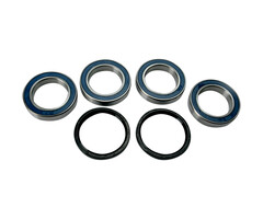 Moose Racing Radlager Kit hinten für Suzuki LT-R450