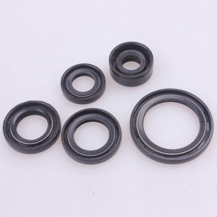 Wingsmoto Dichtringe Simmering Oil Seal Set 50 70 90 110 125cc Dirt Pit Bike Kinderquad