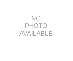 Solido Miniquad Avenger Reneblade Elektro / 49 cc Verkleidung schwarz hinten