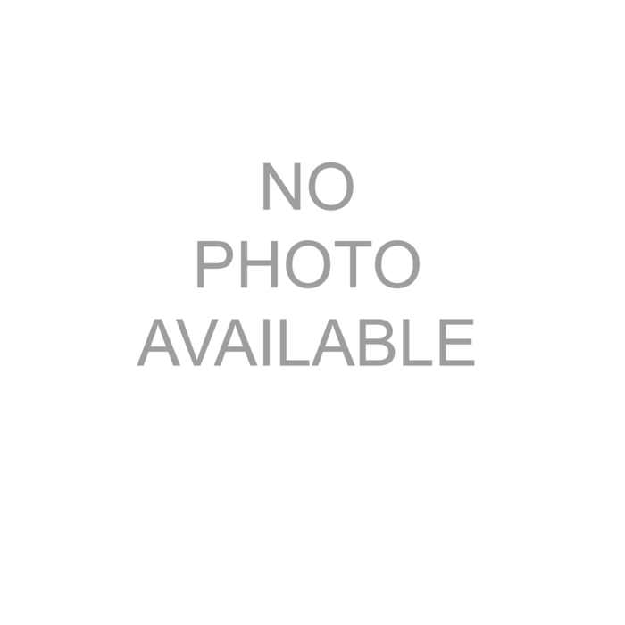 Solido Miniquad Avenger Reneblade Elektro / 49 cc Verkleidung schwarz hinten