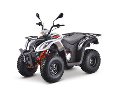Kayo AU200 Erwachsenen Quad mit Strassenzulassung