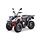 AU200 Erwachsenen Quad mit Strassenzulassung