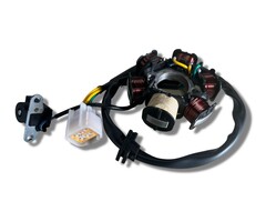 Kayo Stator Assy Magneto Lichtmaschine für Kayo 110 125 cc neue Version