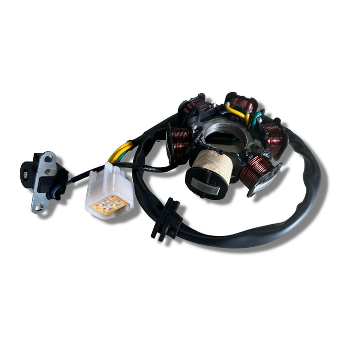 Kayo Stator Assy Magneto Lichtmaschine für Kayo 110 125 cc neue Version