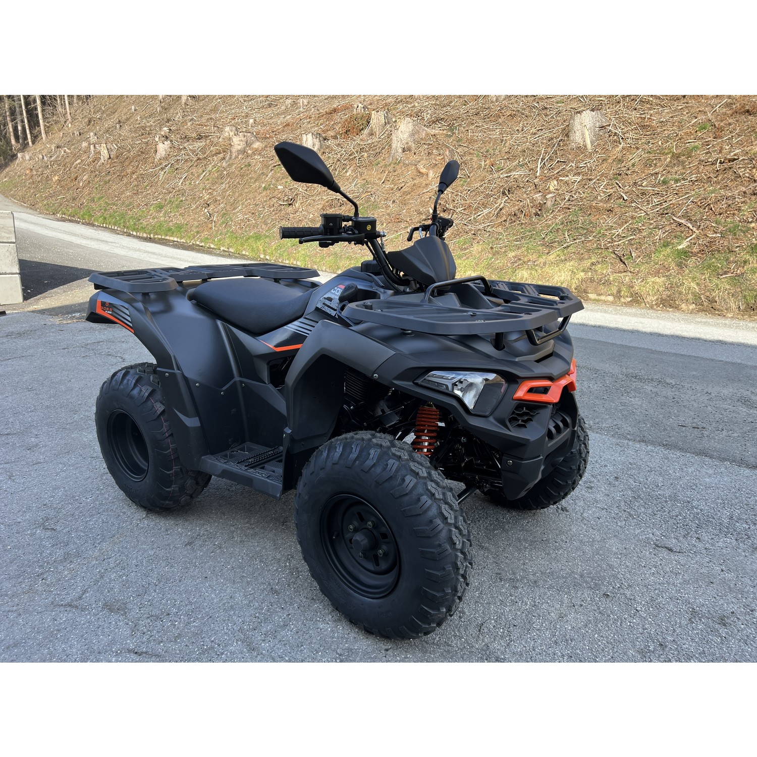 Access Xtreme 480 Bremsbeläge hinten - Quad Motorrad Ersatzteile