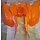 Heckverkleidung hinten orange für Access SP450 - Xtreme 480