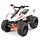 AY70 Sport Kinderquad