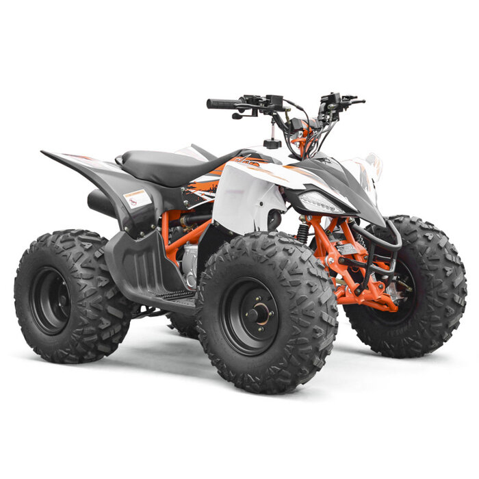 Kayo NEW AT125 Sport Kinderquad