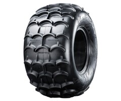 Goldspeed Reifen MXD 22x10-9 2PR TL 19mm TD COMP.395