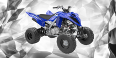 Quad  ATV & UTV 