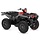 Grizzly 700 EPS ATV 4x4 mit Seilwinde und Alufelgen