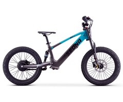 Apollino Elektro Kinderbike Sedna SX 20" - Laufrad