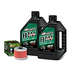Maxima Ölwechselset 2 Liter Motoröl & 1 Ölfilter HF112 für Dinli 450 Special