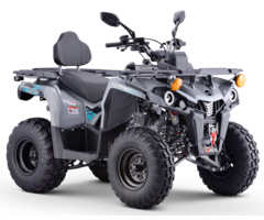 Mikilon Hammer 200 4x2 inkl. Seilwinde & Strassenzulassung T3b