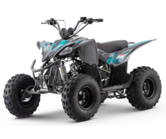 Mikilon Kinder & Jugenquad Predator 125cc