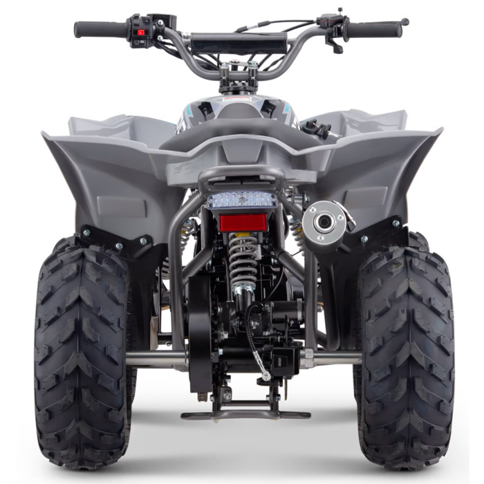 Mikilon Kinder & Jugenquad Predator 110cc