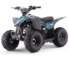 Mikilon Kinder & Jugenquad Predator 110cc
