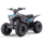 Kinder & Jugenquad Predator 110cc