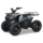 Kinder & Jugenquad Hammer 125cc