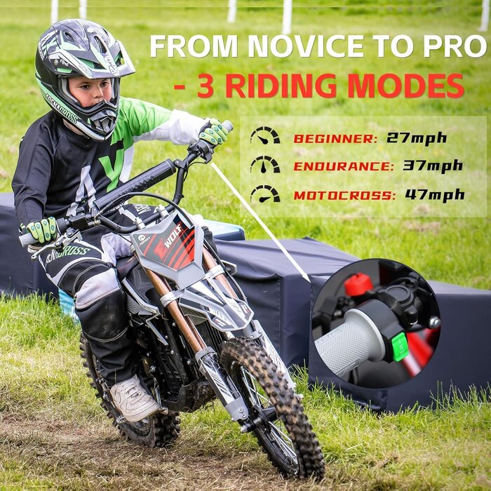 Nicot Elektro Dirtbike E-Wolf 12"/12" 4500W