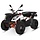 AU300 4x2 EFI Quad mit Strassenzulassung