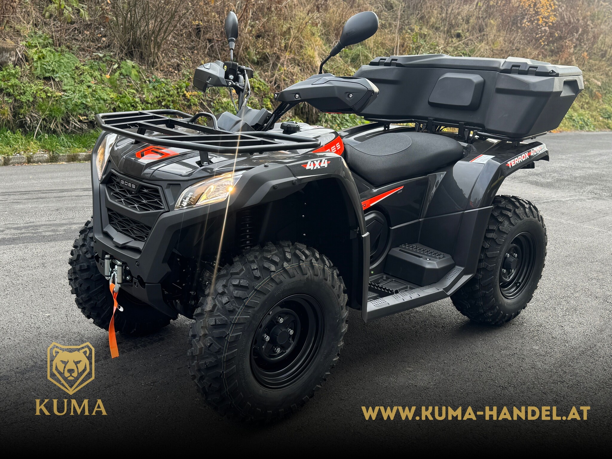 Goes TERROX 400 L T3b ABS