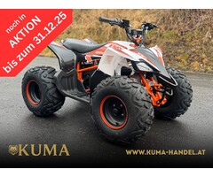 Kayo Kinderquad Elektro eA110 Spitzenleistung bis 2100W 48V