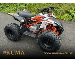 Kayo NEW AT125 Sport Kinderquad