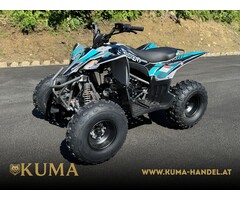 Mikilon Kinder & Jugenquad Predator 125cc