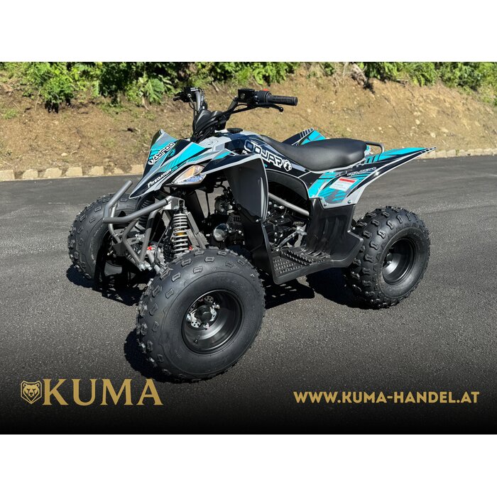 Mikilon Kinder & Jugenquad Predator 125cc