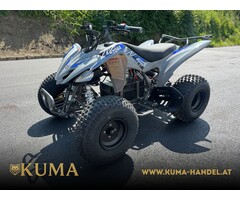 Mikilon Kinderquad Elektro E45 - 1500 Watt 60V