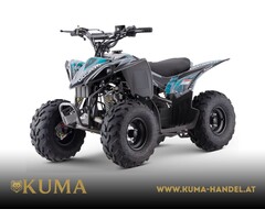 Mikilon Kinder & Jugenquad Predator 110cc