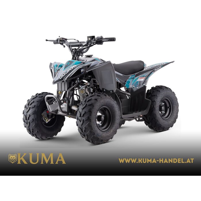 Mikilon Kinder & Jugenquad Predator 110cc
