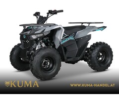 Mikilon Kinder & Jugenquad Hammer 125cc