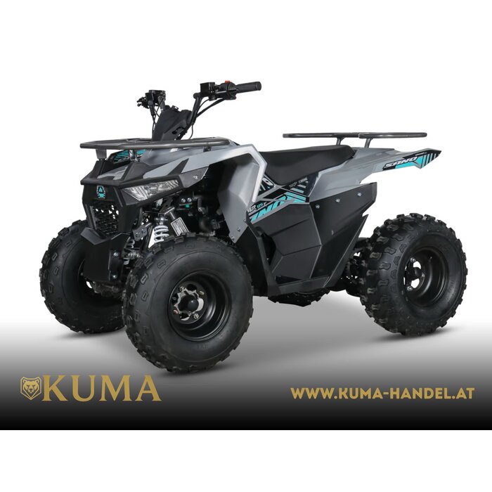 Mikilon Kinder & Jugenquad Hammer 125cc