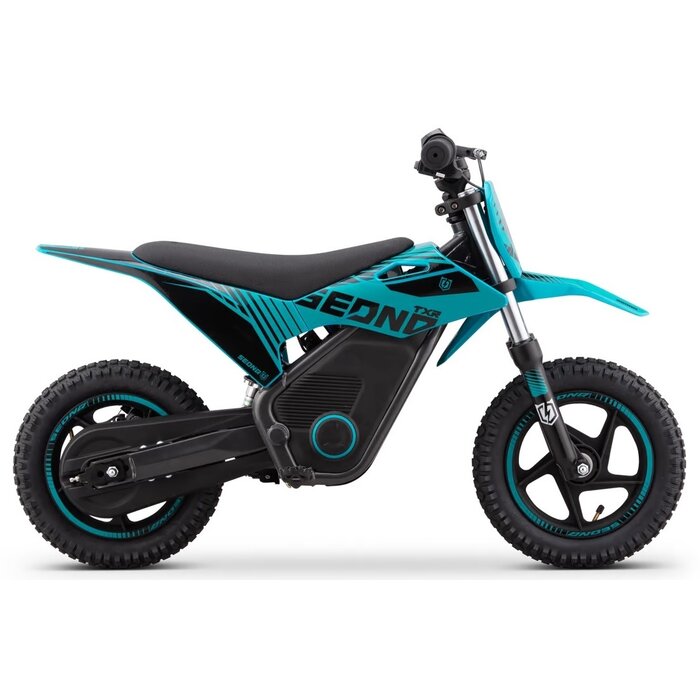 Apollino Warrior Kids SX-E250 Kinder Dirtbike für Kinder von 3-6 Jahren geeignet