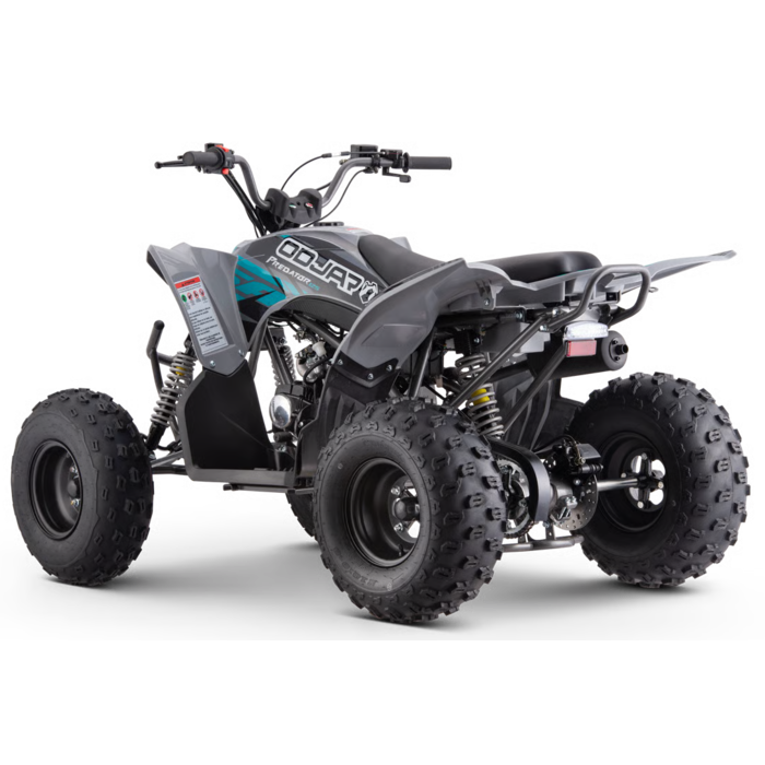 Mikilon Kinder & Jugenquad Predator 125cc