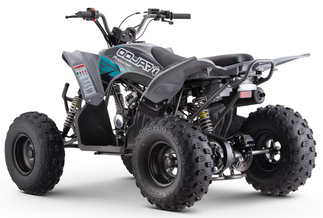 Mikilon Kinder & Jugenquad Predator 125cc